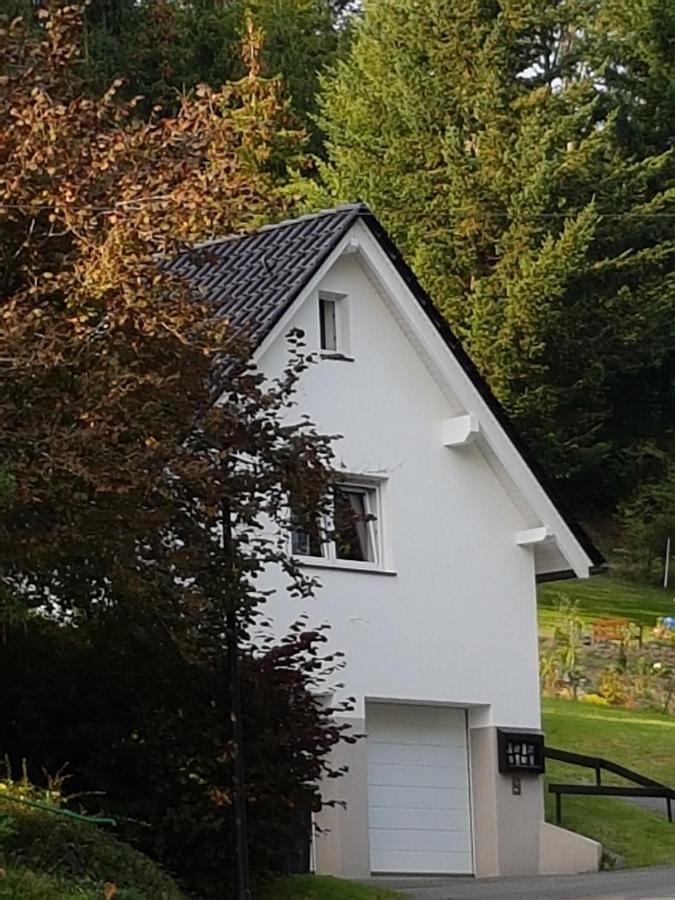 Ferienhaus Am Ruhberg Winterberg Exterior photo